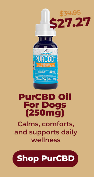 Shop Innovet PurCBD Oil 25% Off