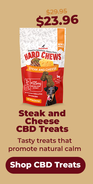 Shop Innovet Steak and Cheese Treats 25% Off