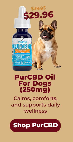 Shop Innovet PurCBD Oil
