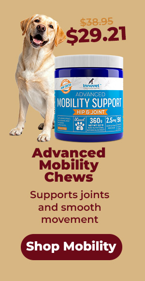 Shop Mobility Chews 25% Off