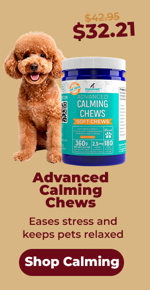Shop Calming Chews 25% Off