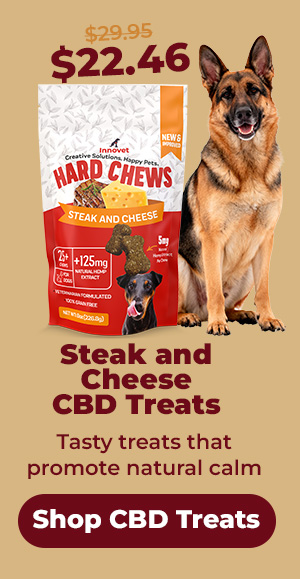 Shop CBD Treats 25% Off