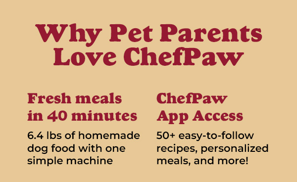 Shop ChefPaw Christmas Sale $150 Off