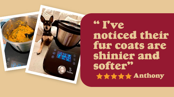 Shop ChefPaw Christmas Sale $150 Off