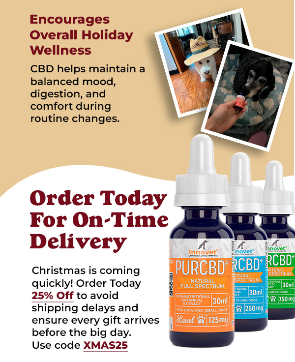 Shop Innovet Christmas Sale 25% Off