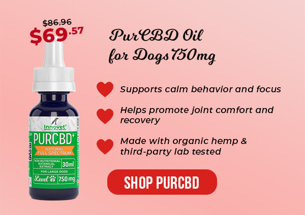 Shop 20% Off PurCBD Oil For Dogs