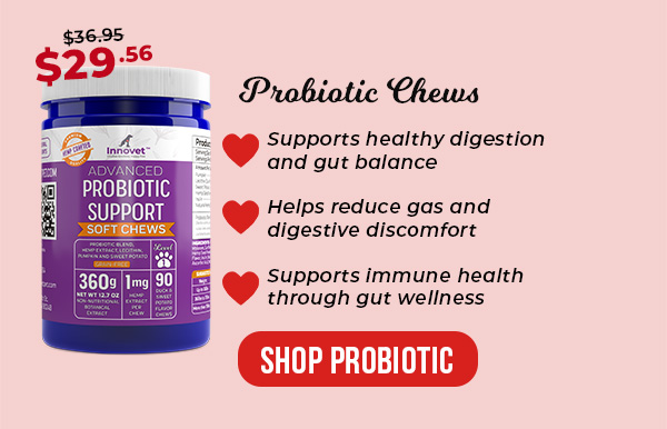 Shop 20% Off Probiotic Chews