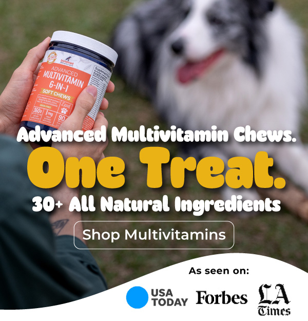 Shop Innovet Multivitamin Chews