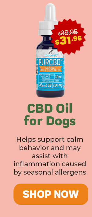 Shop CBD Oil For Dogs 25% Off