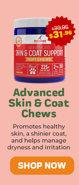 Shop Skin and Coat Chews 25% Off
