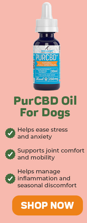 Shop PurCBD Oil For Dogs 25% Off