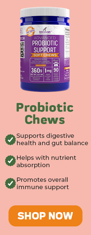 Shop Probiotic Chews 25% Off