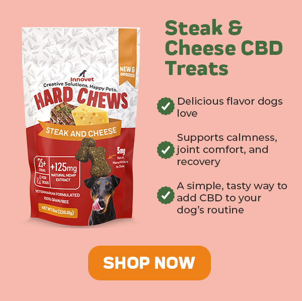 Shop CBD Treats For Dogs 25% Off