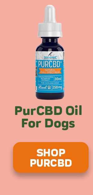 Shop PurCBD Oil For Dogs 25% Off