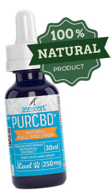 PurCBD Oil for Dogs