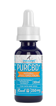 PurCBD Oil for Dogs