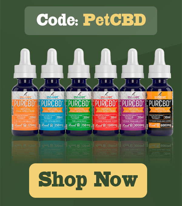 Shop Innovet National Pet CBD Day - 25% Off