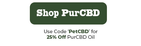 Shop Innovet National Pet CBD Day - 25% Off
