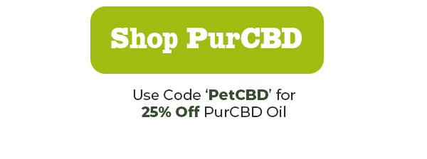 Shop Innovet National Pet CBD Day - 25% Off