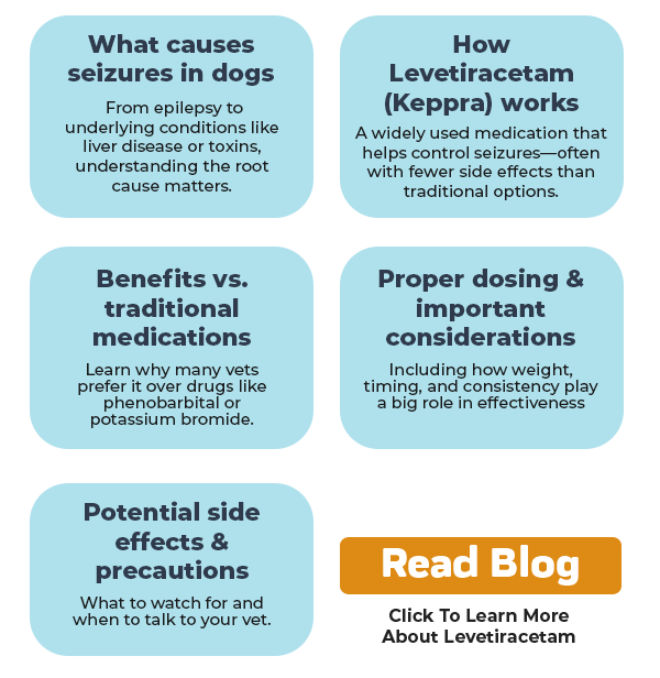 Click Here To Read Innovet's Blog Your Complete Guide To Levetiracetam For Your Dog