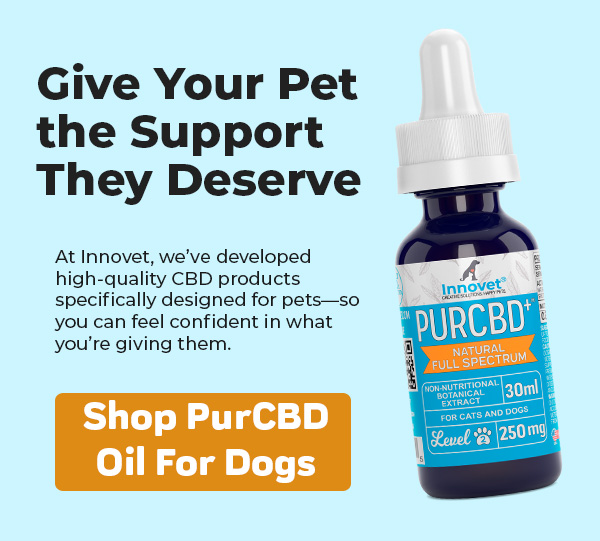 Shop Innovets PurCBD Oil For Dogs