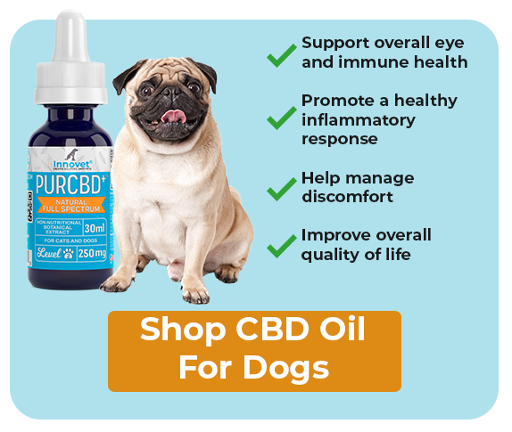 Shop Innovet PurCBD Oil For Dogs