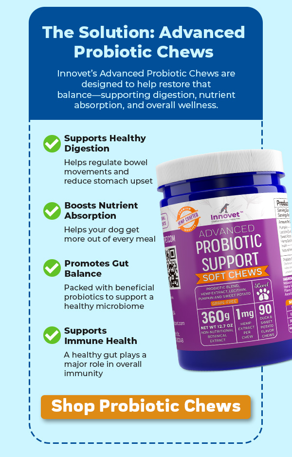 Shop Innovet Probiotic Chews