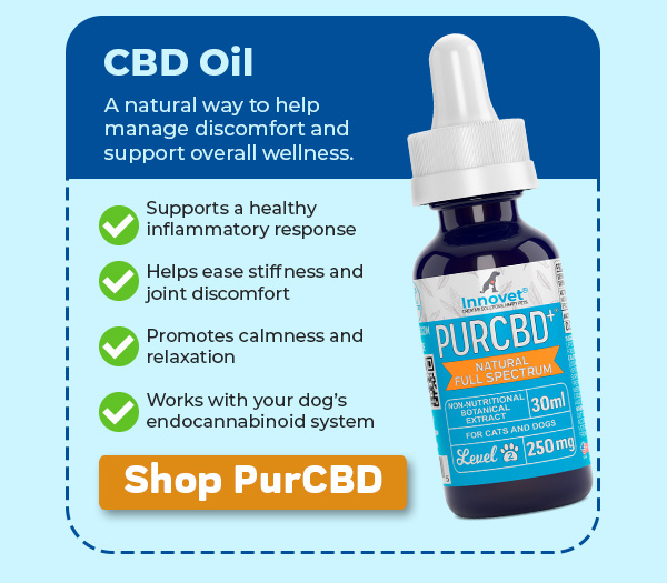 Shop Innovet PurCBD Oil For Dogs