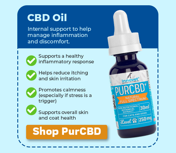 Shop Innovet PurCBD Oil
