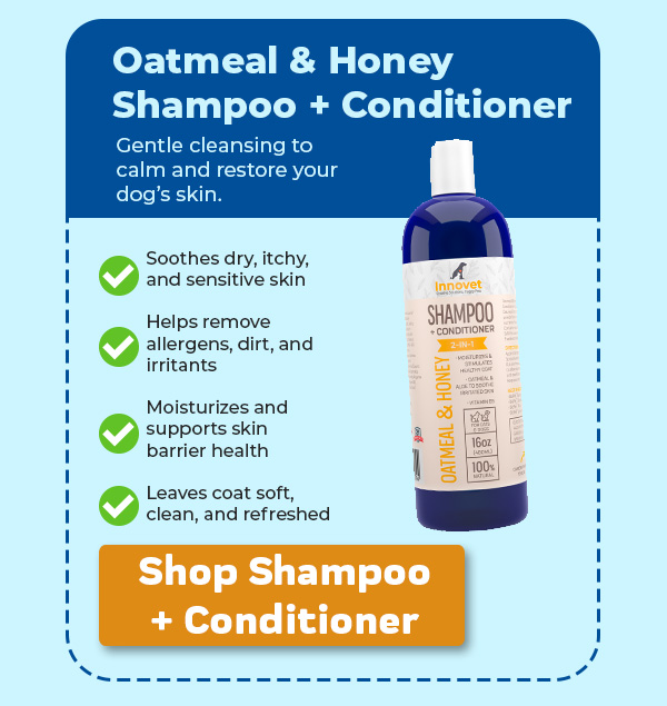 Shop Innovet Oatmeal Honey Shampoo + Conditioner