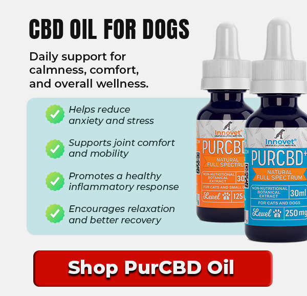 Shop Innovet PurCBD Oil