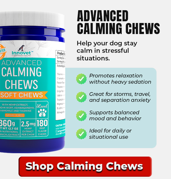 Shop Innovet Calming Chews