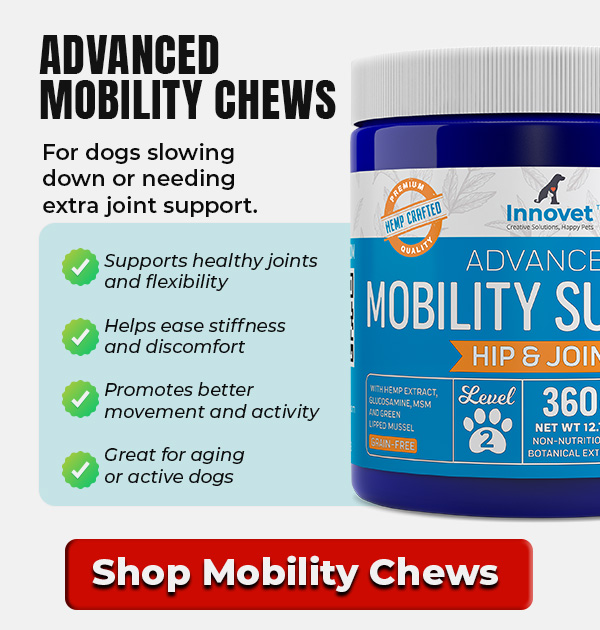 Shop Innovet Mobility Chews