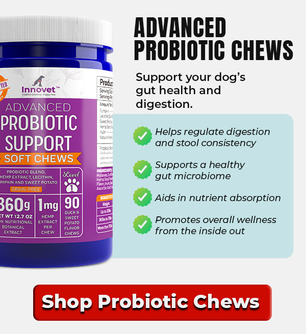 Shop Innovet Probiotic Chews