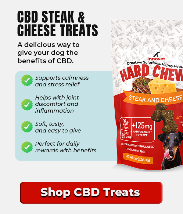 Shop Innovet CBD Treats