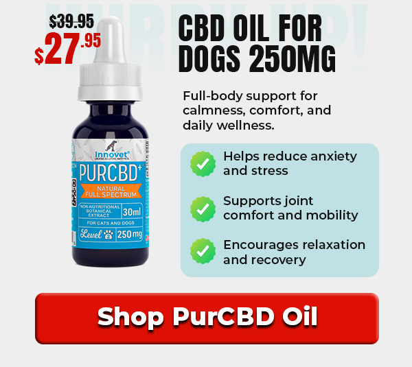 Shop Innovet PurCBD Oil For Dogs 30% Off