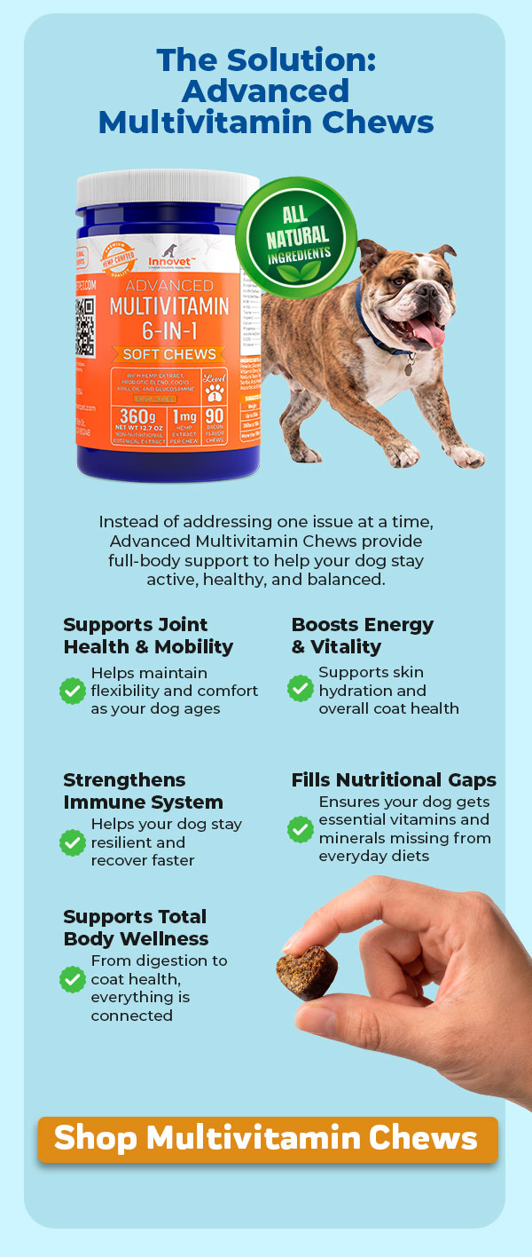 Shop Innovet Advanced Multivitamin Chews