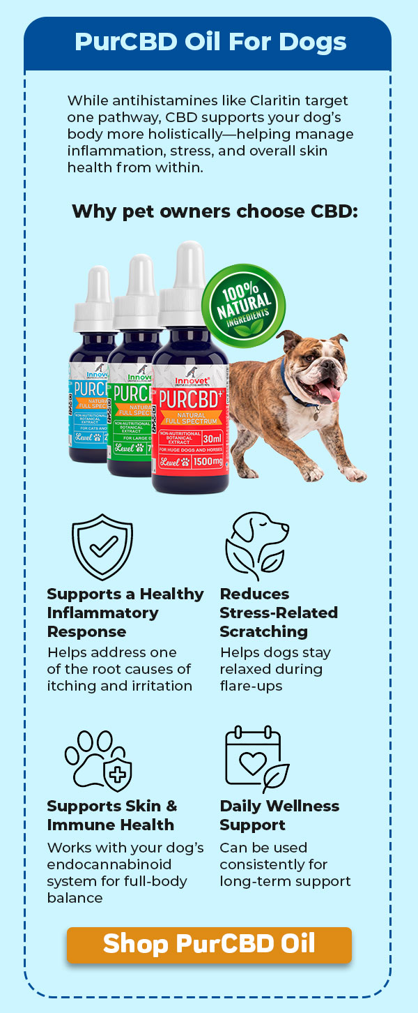 Shop Innovet PurCBD Oil For Dogs
