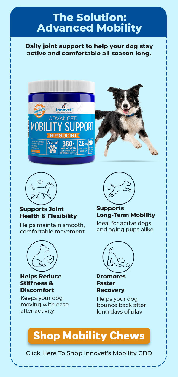 Shop Innovet Advanced Mobility Chews
