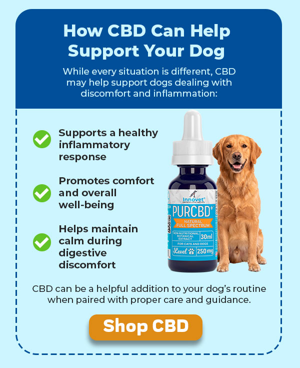 Shop Innovet PurCBD Oil For Dogs