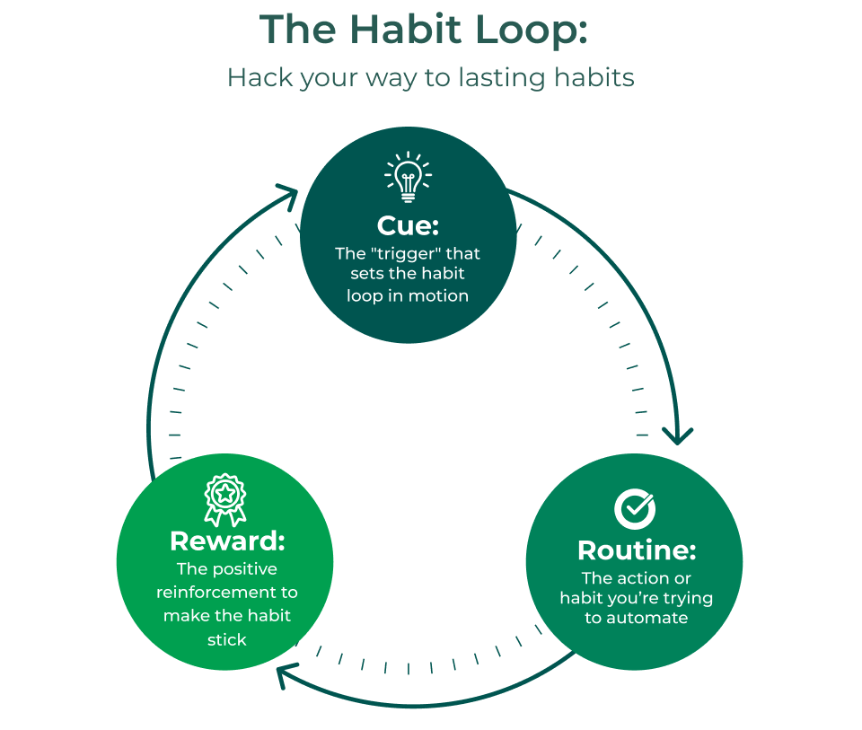 The Habit Loop: 1. Cue: The "trigger" that sets the habit loop in motion. 2: Routine: The action of habit you're trying to automate. 3. Reward: The positive reinforcement to make the habit stick