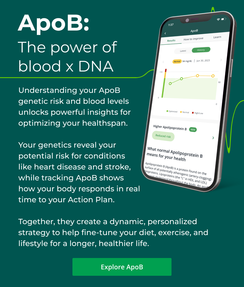 ApoB: The power of  blood x DNA. Understanding your ApoB  genetic risk and blood levels  unlocks powerful insights for  optimizing your healthspan.  Your genetics reveal your  potential risk for conditions  like heart disease and stroke,  while tracking ApoB shows  how your body responds in real  time to your Action Plan.  Together, they create a dynamic, personalized strategy to help fine-tune your diet, exercise, and lifestyle for a longer, healthier life. Click here to explore ApoB