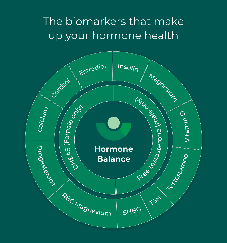 The biomarkers that make up your hormone health: Estradiol, Insulin, Magnesium, Vitamin D, Testosterone, TSH, SHBG, RBC Magnesium, Progesterone, Calcium, Cortisol, DHEAS (female only), Free testosterone (male only)