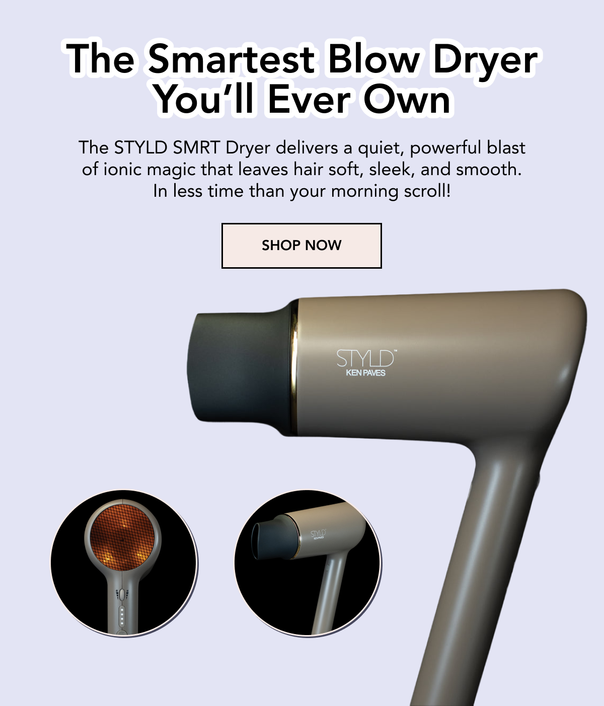 STYLD by Ken Paves SMRT Dryer