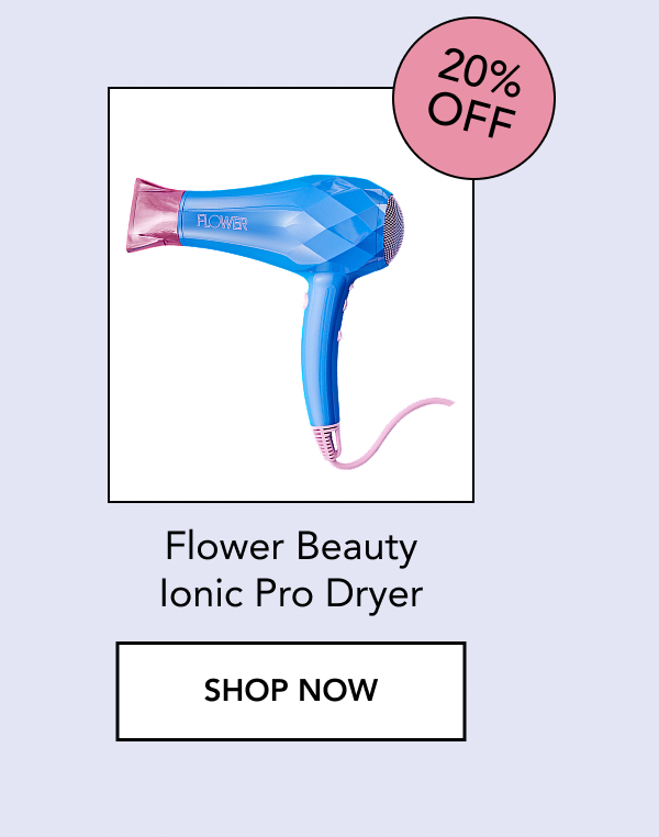 Ionic Pro Dryer