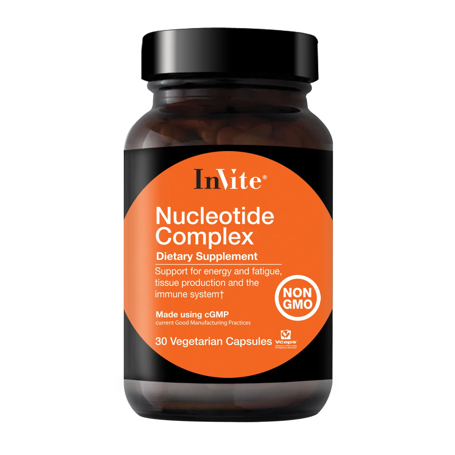 Image of Nucleotide Complex