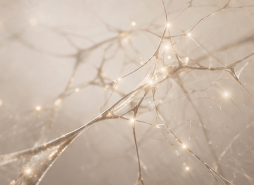Abstract neural visualization