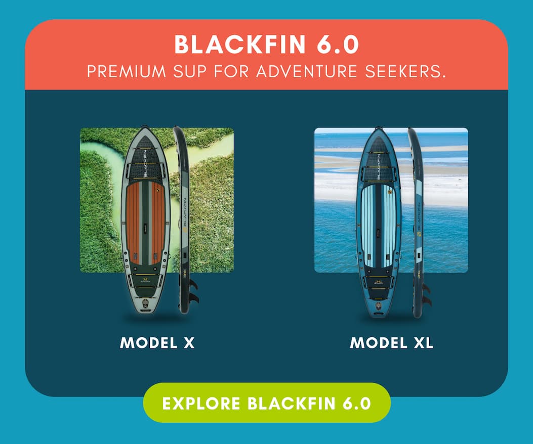 Blackfin 6.0