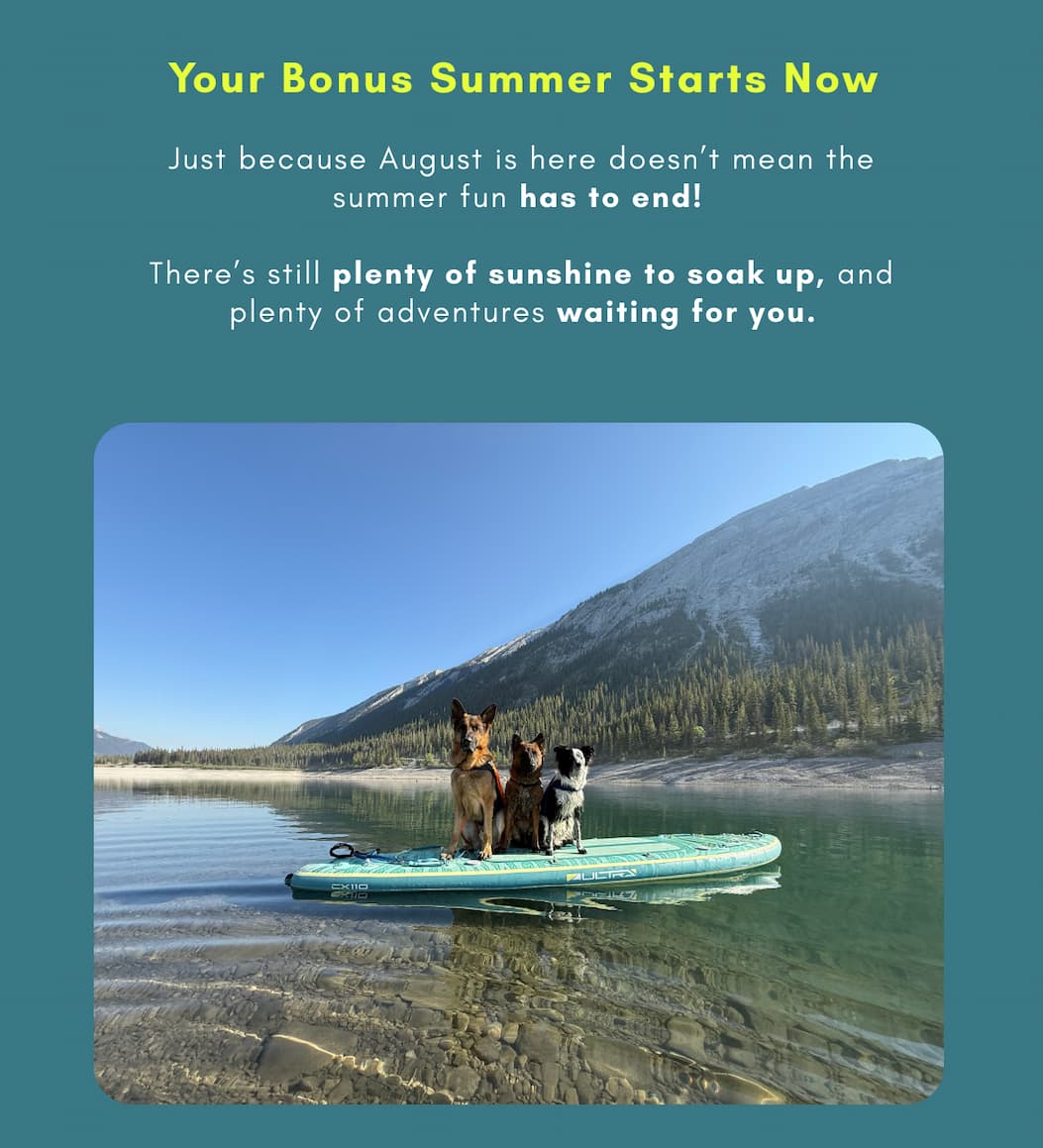 Your bonus summer starts here