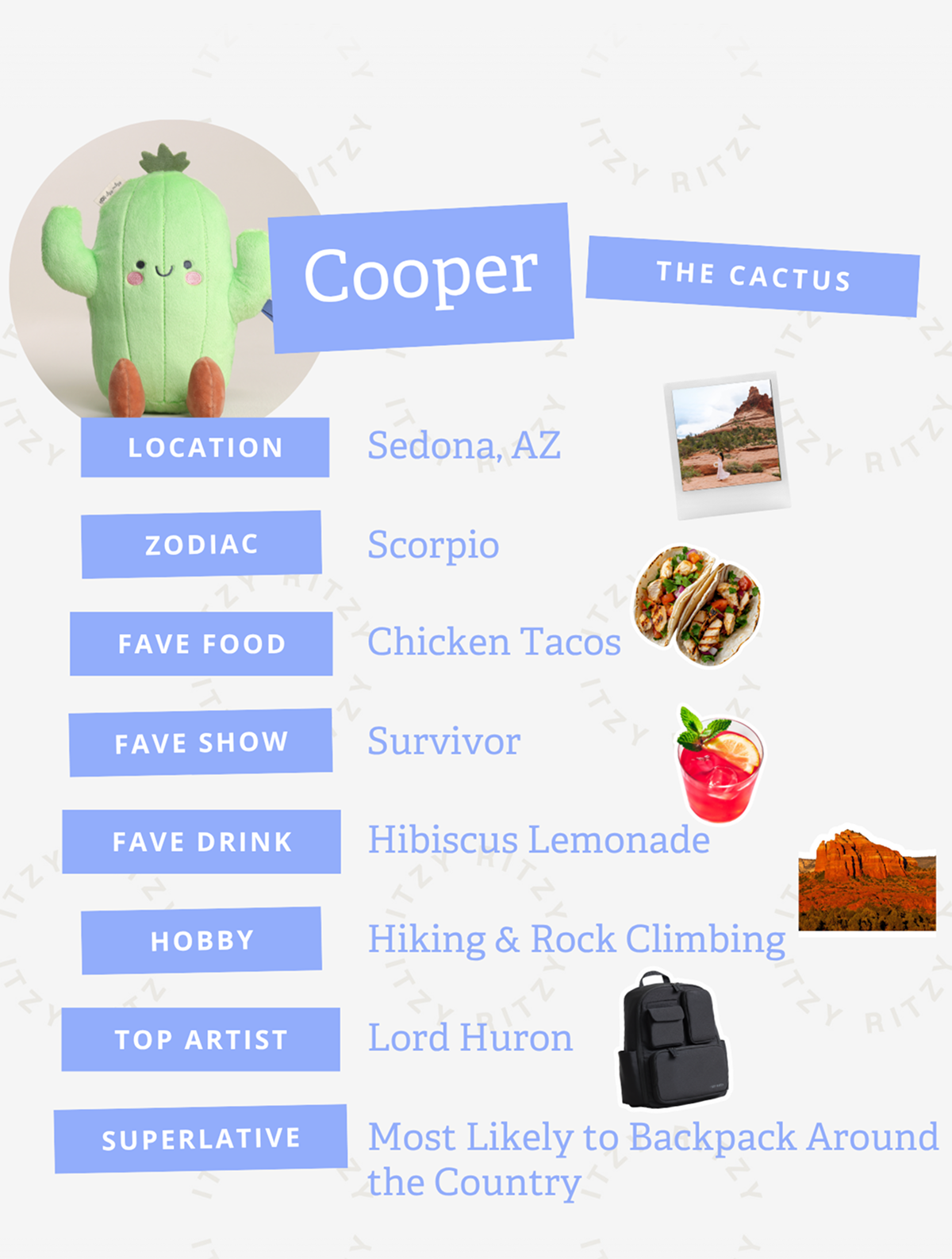 Cooper The Cactus Personality